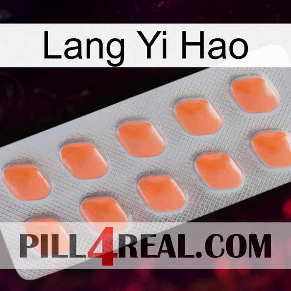Lang Yi Hao 26